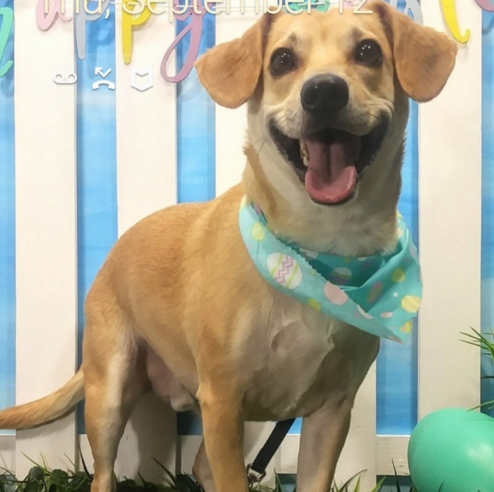 Meet your Posher, Christina